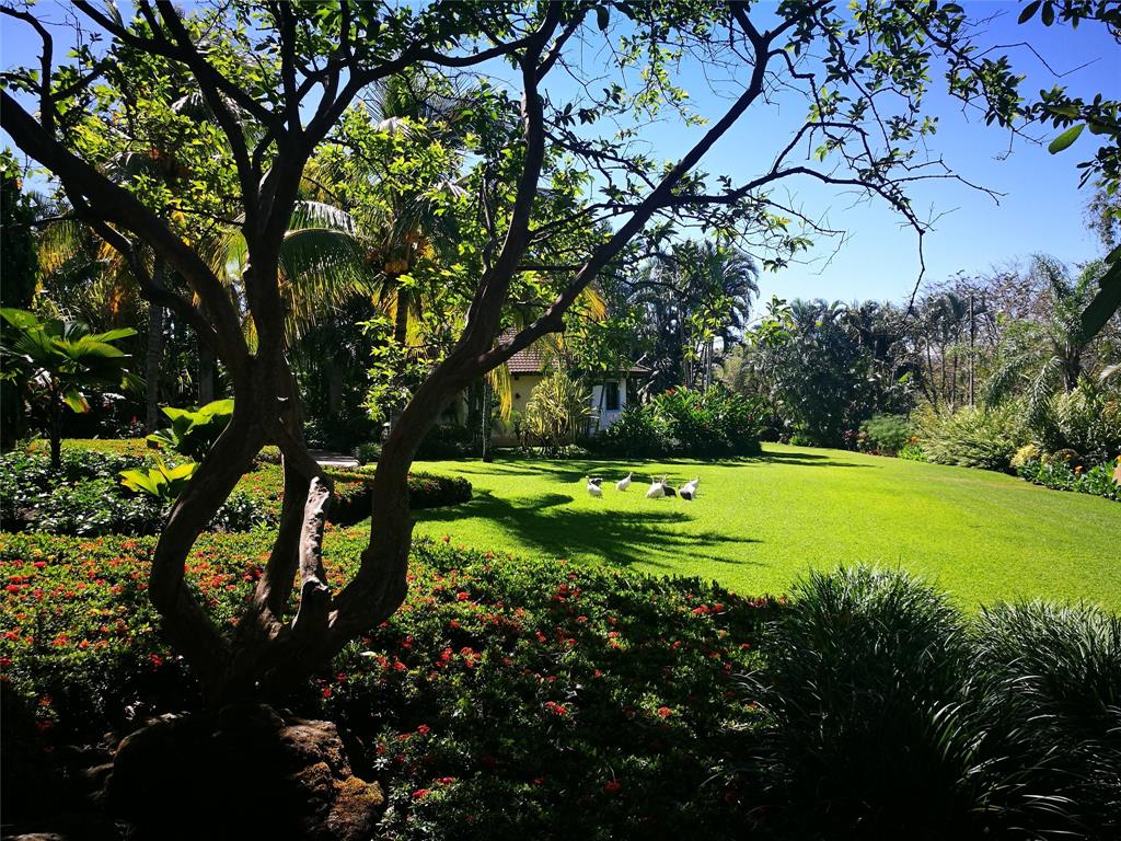 123 Llanos Del Coyol, , Georgia image 41