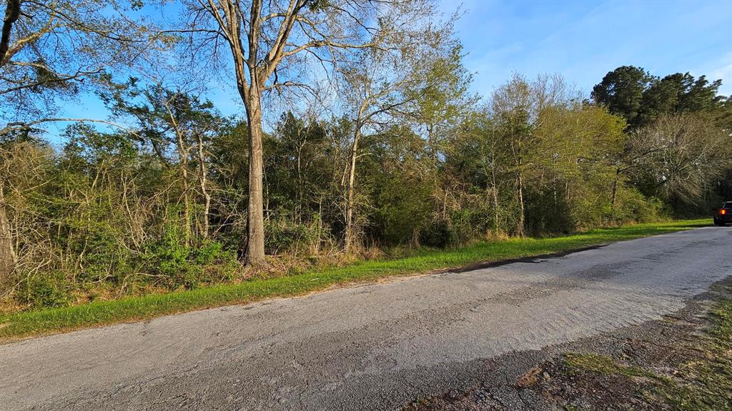 Killarney Road, Hempstead, Texas image 6