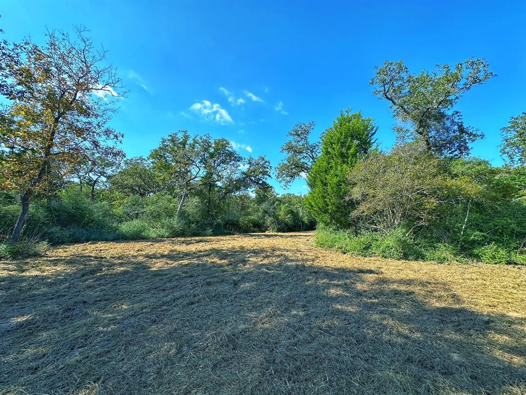 8346 Cr 458, Normangee, Texas image 9