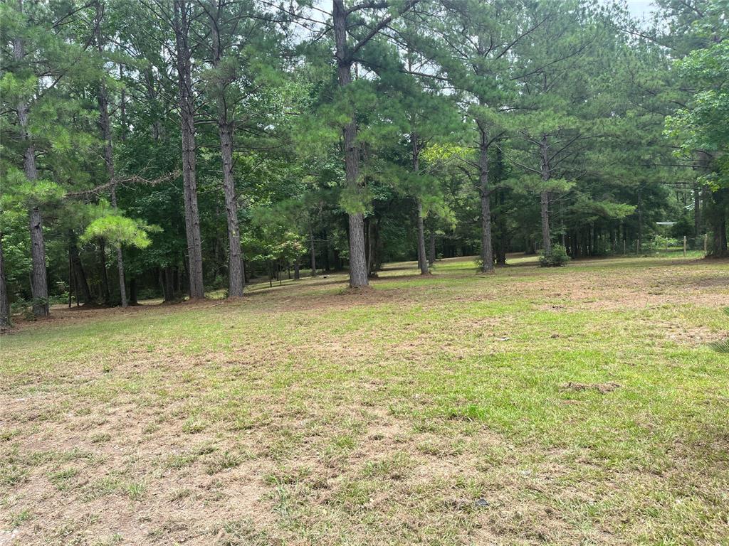 482 Rolling, Livingston, Texas image 38