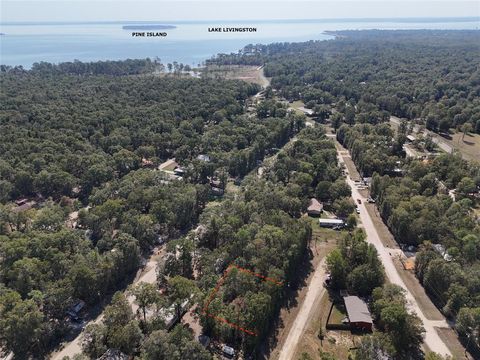 Photo of TBD Wellington, Livingston, TX 77351 (MLS # 50440204)