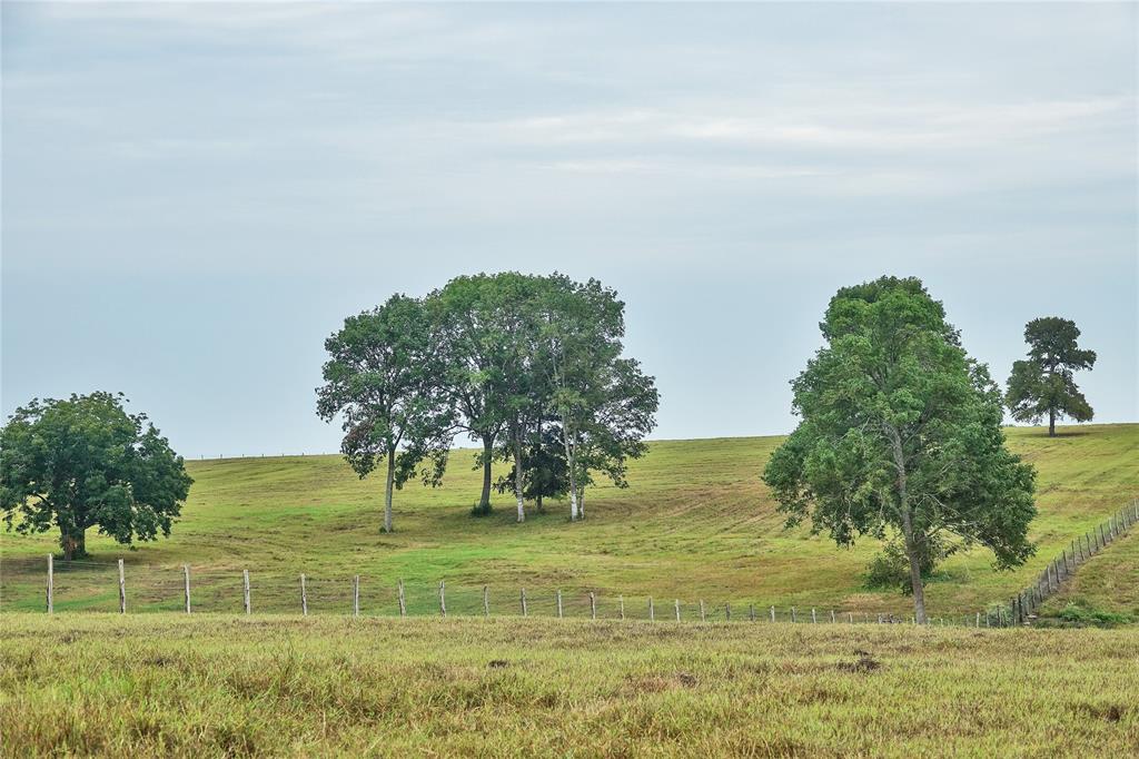 3896 County Road 305 Tract 1, Navasota, Texas image 23