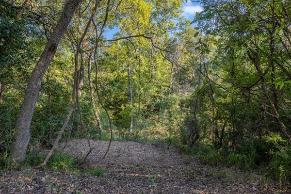 TBD Drake Lane-lot 10, Round Top, Texas image 7