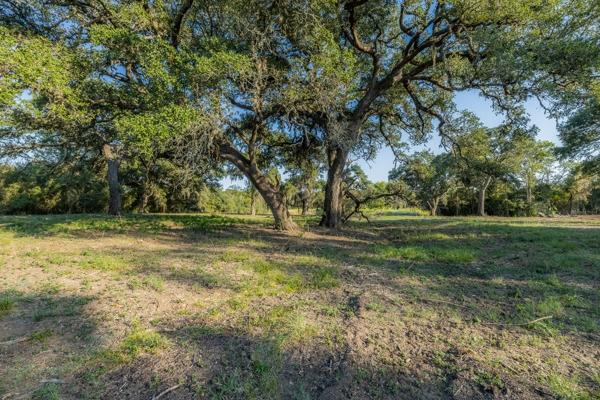 TBD Drake Lane-lot 10, Round Top, Texas image 3