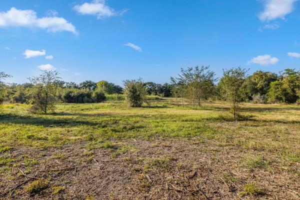 TBD Drake Lane-lot 10, Round Top, Texas image 6