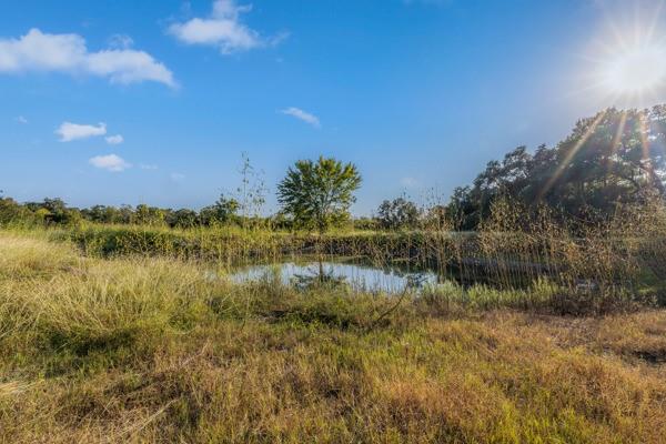 TBD Drake Lane-lot 10, Round Top, Texas image 5