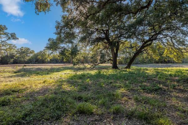 TBD Drake Lane-lot 10, Round Top, Texas image 4