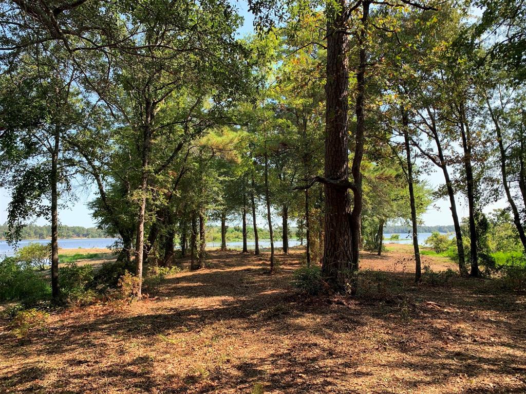 3196 Shadow Pine Drive, Larue, Texas image 1