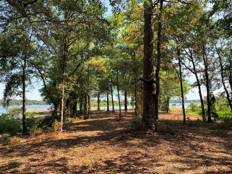Photo of 3196 Shadow Pine Lot 46 Drive, Larue, TX 75770 (MLS # 32997480)
