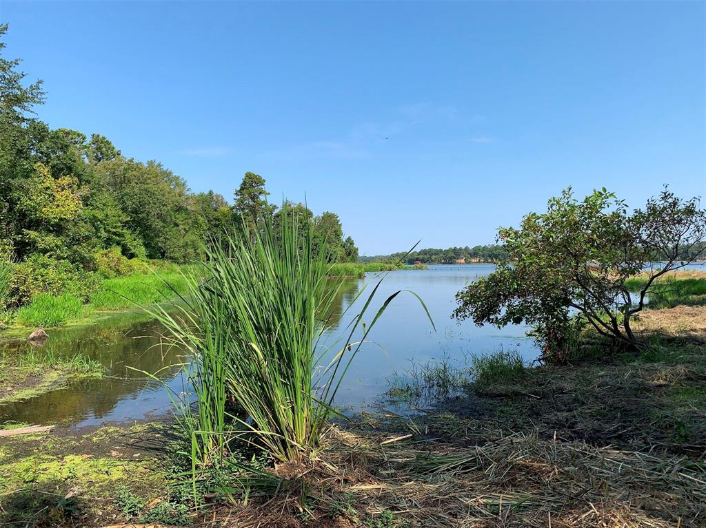 3196 Shadow Pine Drive, Larue, Texas image 11