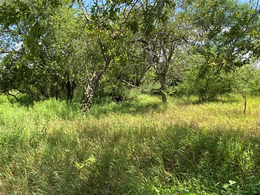 14135 County Road 1144, Sinton, Texas image 9