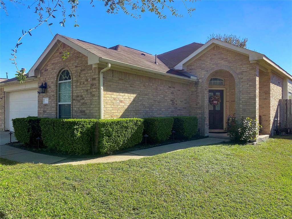 384 Hannah Lane, Alvin, Texas image 19