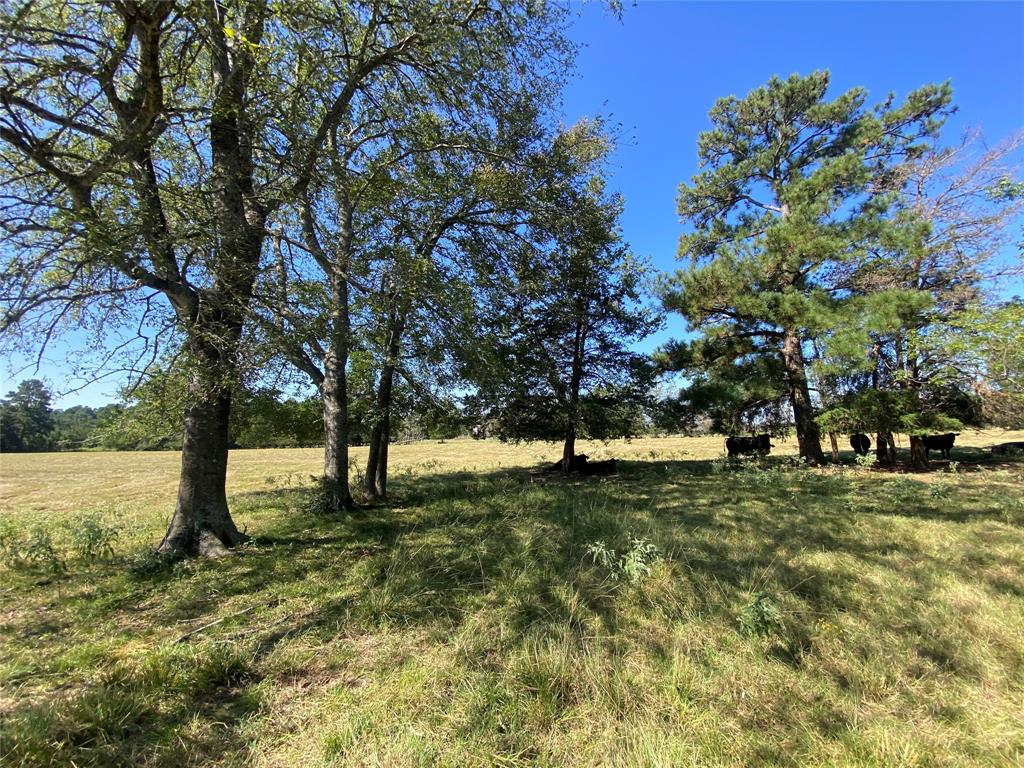 6464 County Road 146, Bedias, Texas image 26