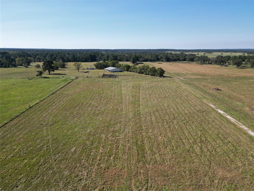 6464 County Road 146, Bedias, Texas image 5