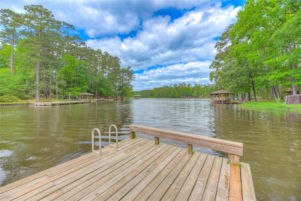 435 Terrace Trail, Goodrich, Texas image 14