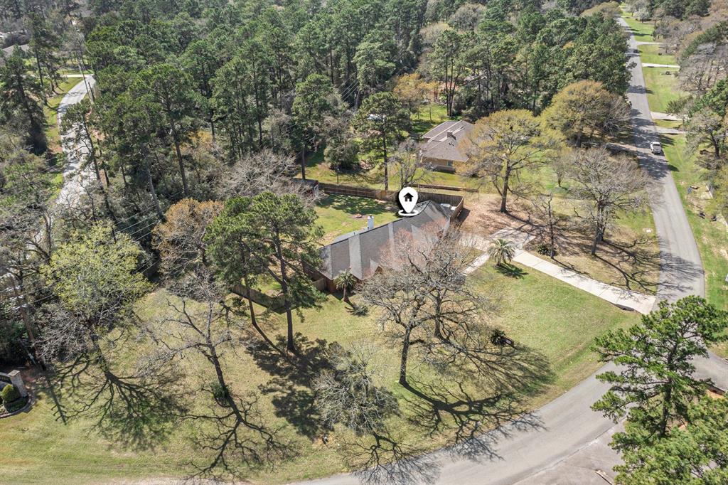 14003 Timbergreen Drive, Magnolia, Texas image 31