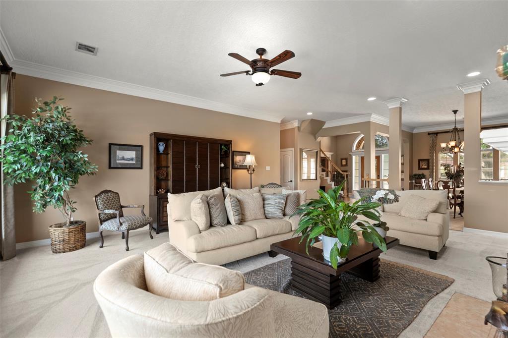 207 Kingfisher Drive, Sugar Land, Texas image 11