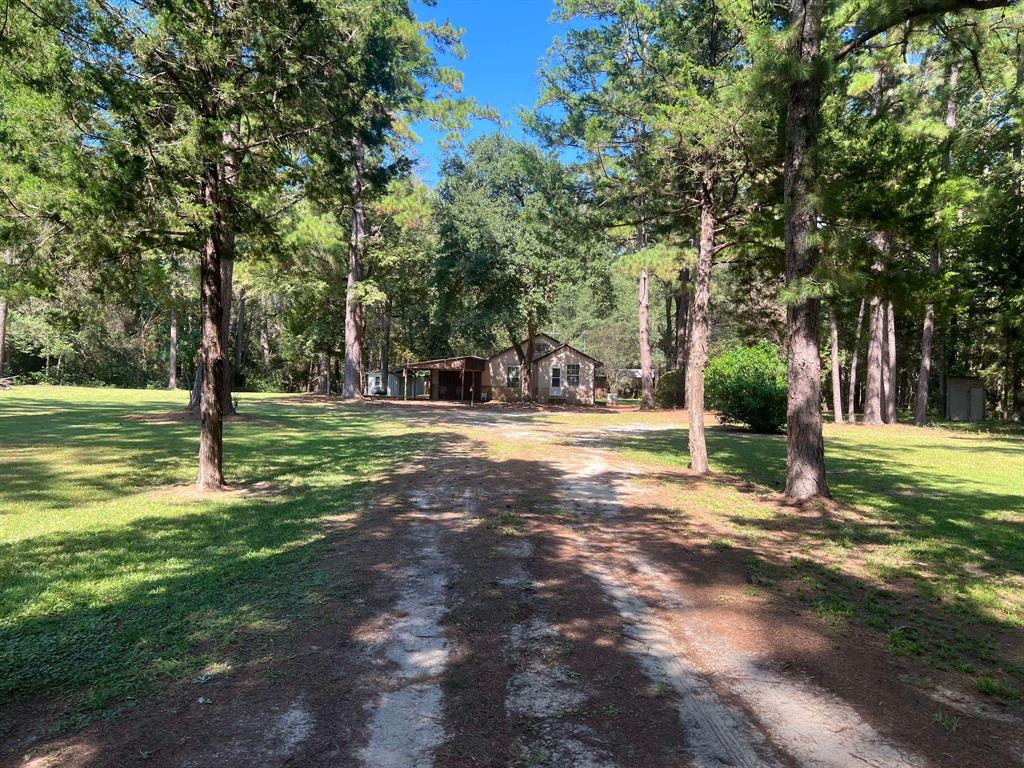 18157A State Hwy 87, Call, Texas image 3