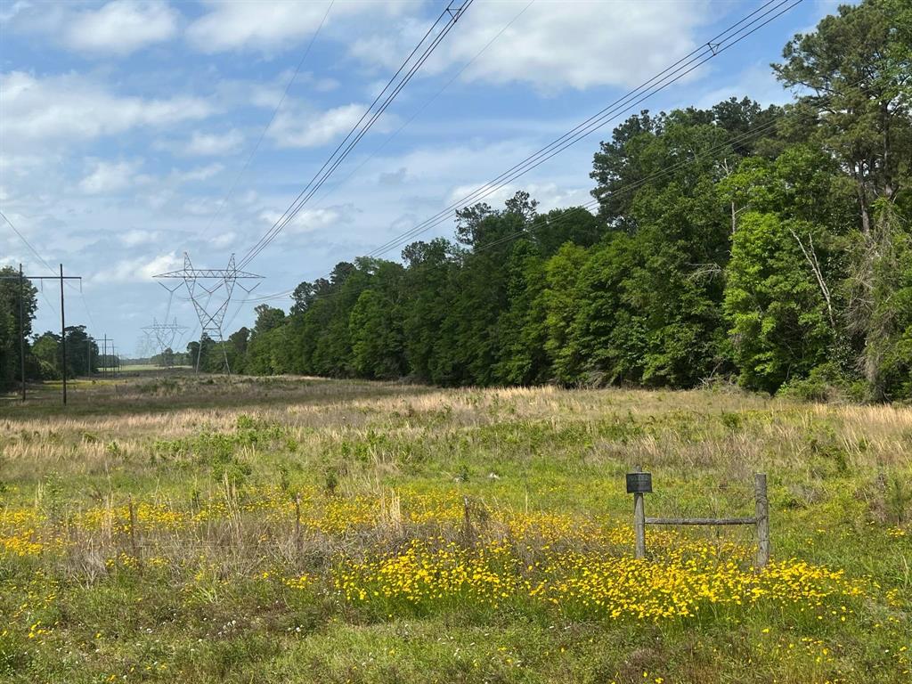 18157A State Hwy 87, Call, Texas image 27