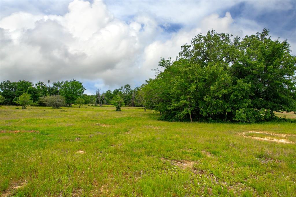 375 Green Acres Lane Lane, Milano, Texas image 15