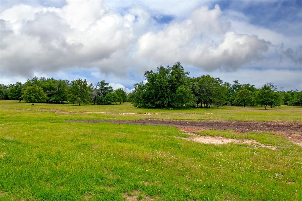 375 Green Acres Lane Lane, Milano, Texas image 17