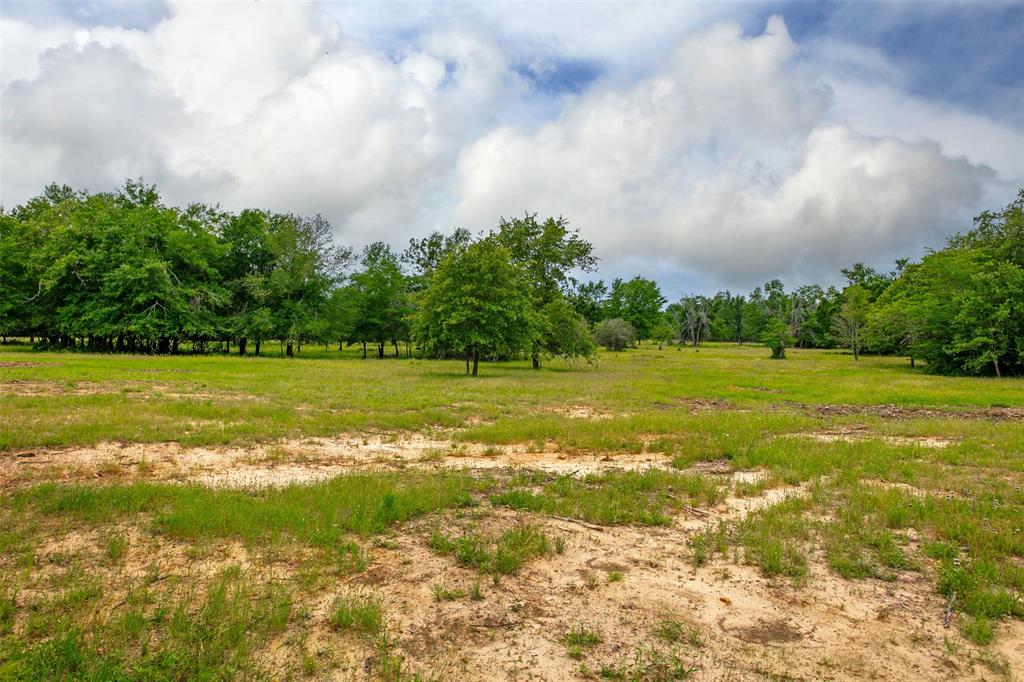 375 Green Acres Lane Lane, Milano, Texas image 13