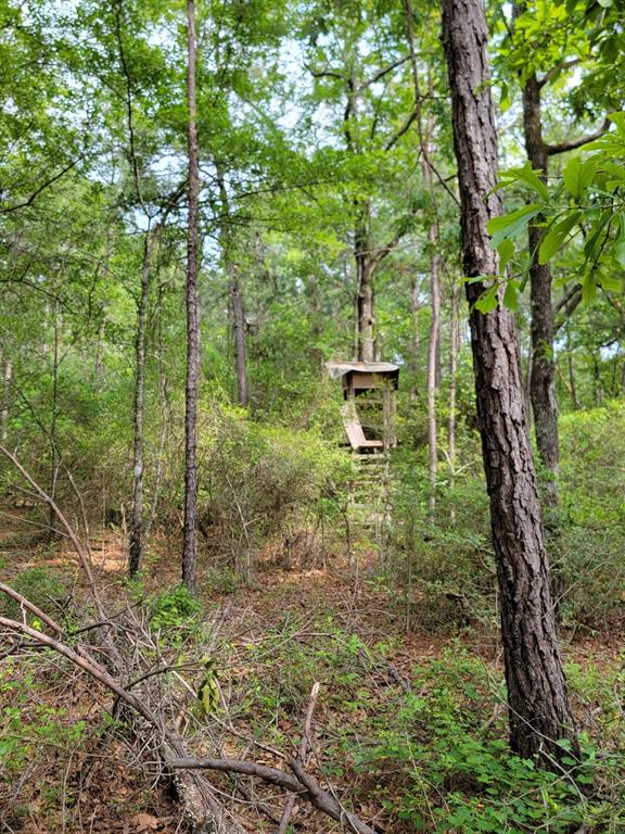 157 Oates Brothers Road, Trinity, Texas image 31