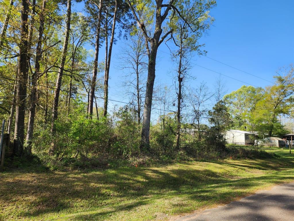 Burning Tree Lane, New Caney, Texas image 8
