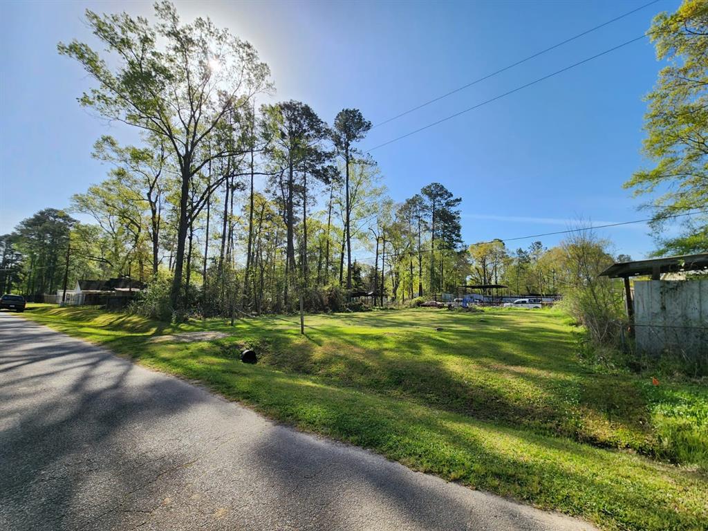 Burning Tree Lane, New Caney, Texas image 5