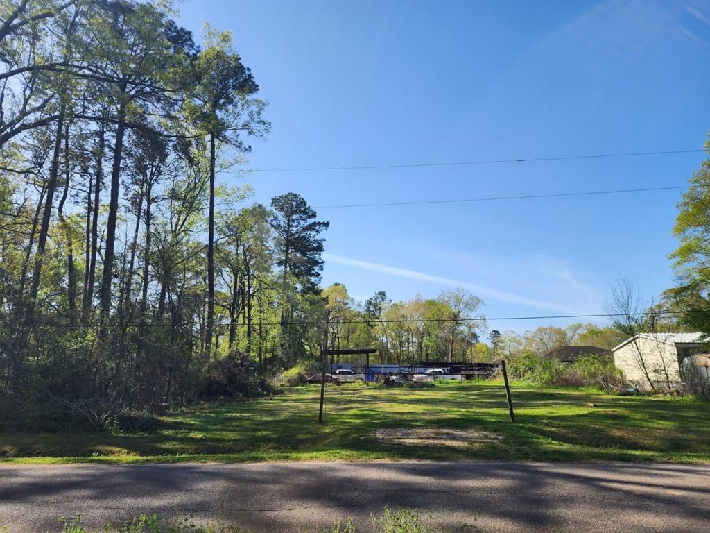 Burning Tree Lane, New Caney, Texas image 7