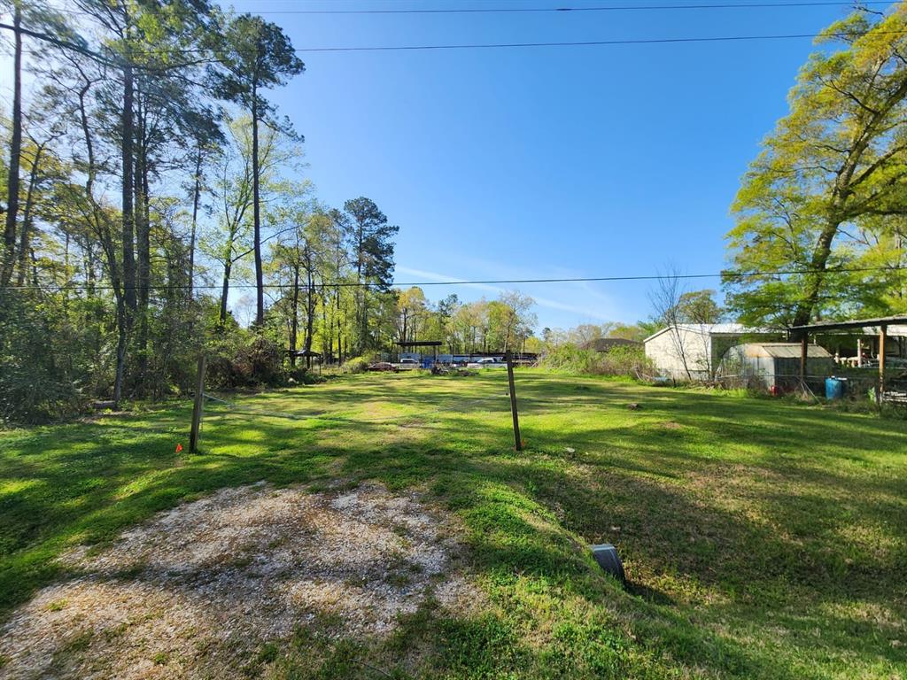 Burning Tree Lane, New Caney, Texas image 4