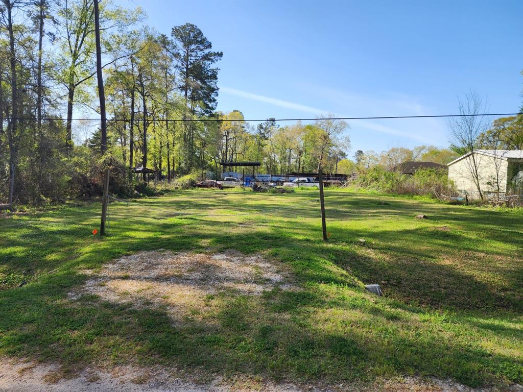 Burning Tree Lane, New Caney, Texas image 9