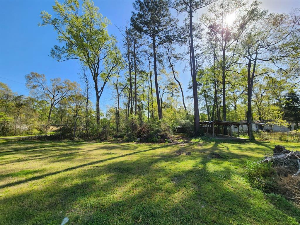 Burning Tree Lane, New Caney, Texas image 6
