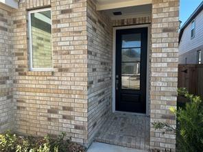 18167 Trepito Avenue, New Caney, Texas image 1