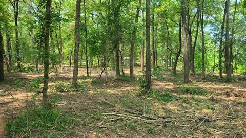 TBD Lake Dr W Willis TX 77378