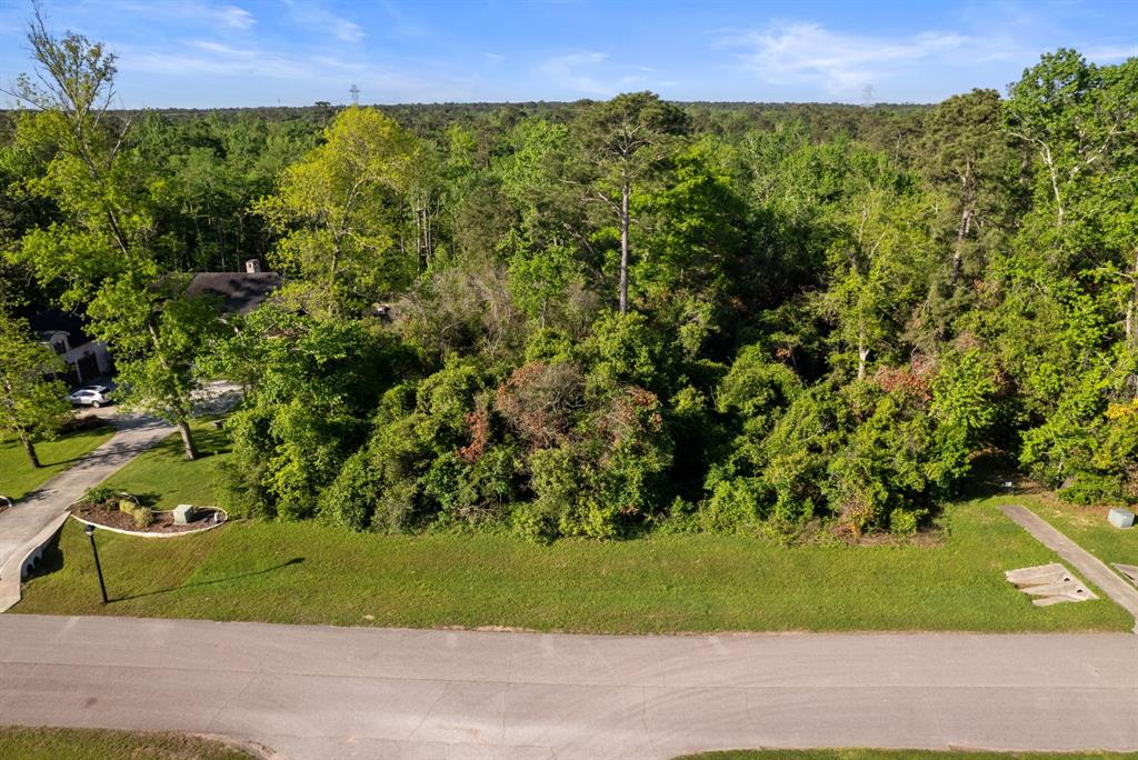 27350 Shady Hills Landing, Spring, Texas image 15