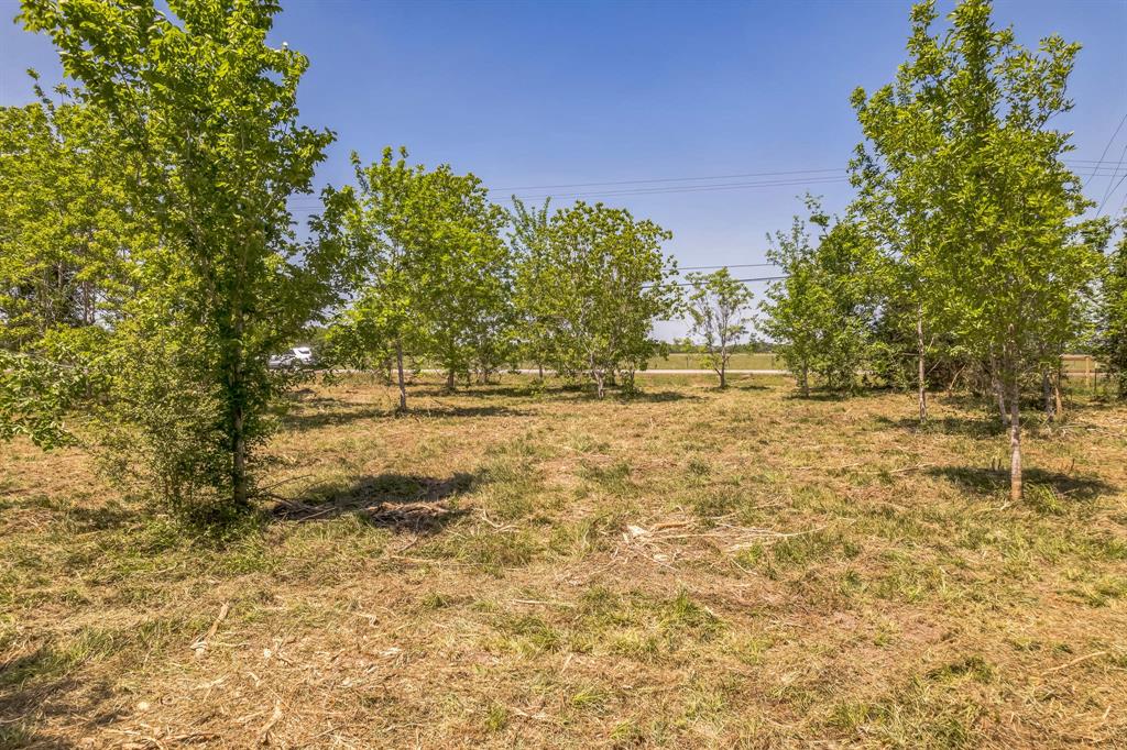 Cr-155, Alvin, Texas image 14