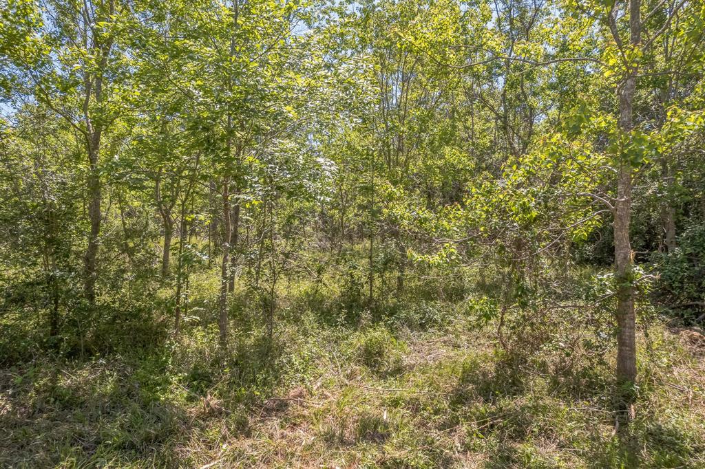 Cr-155, Alvin, Texas image 15