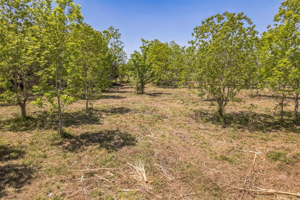Cr-155, Alvin, Texas image 12