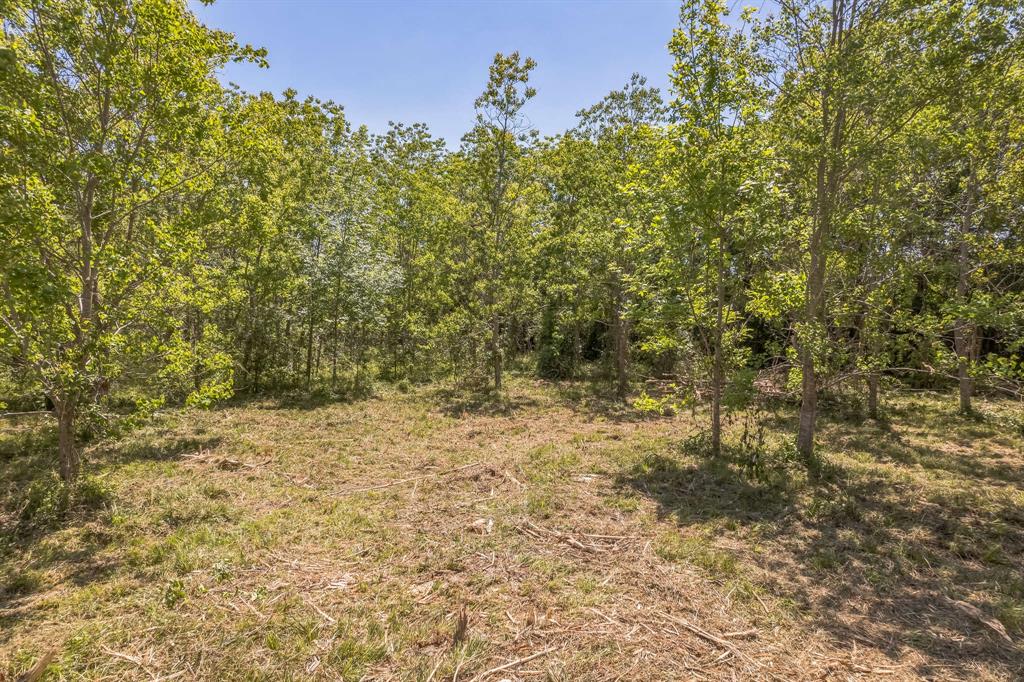 Cr-155, Alvin, Texas image 13