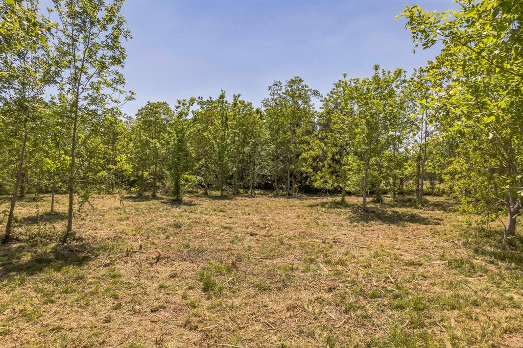 Cr-155, Alvin, Texas image 10