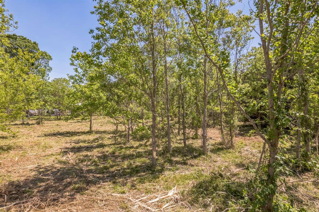 Cr-155, Alvin, Texas image 8