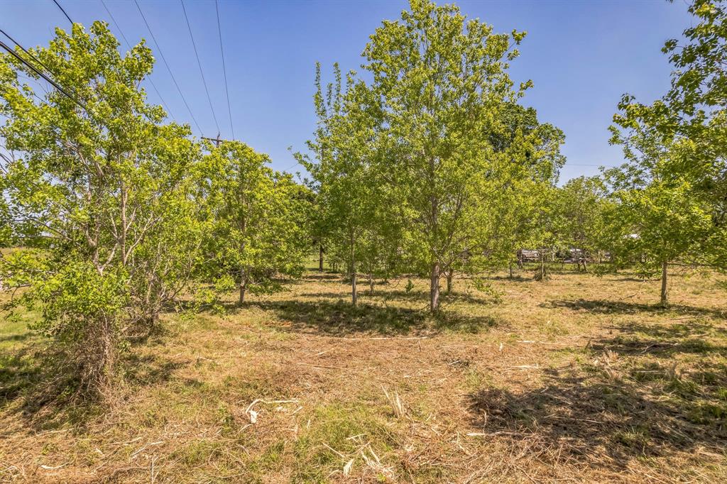 Cr-155, Alvin, Texas image 9