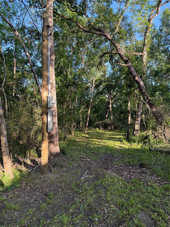 7442 Cobbs Oak Lane, Rosharon, Texas image 23