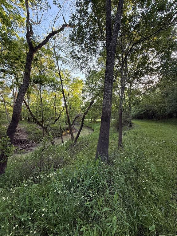 7442 Cobbs Oak Lane, Rosharon, Texas image 7