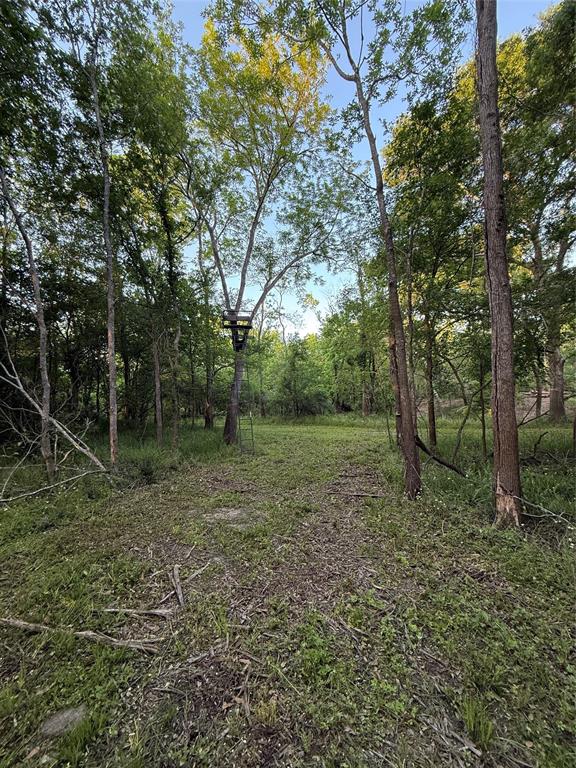 7442 Cobbs Oak Lane, Rosharon, Texas image 13