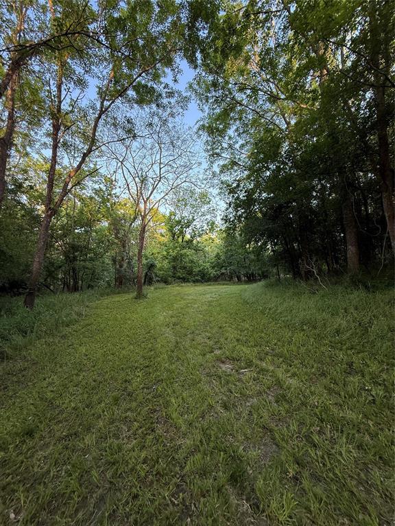 7442 Cobbs Oak Lane, Rosharon, Texas image 15