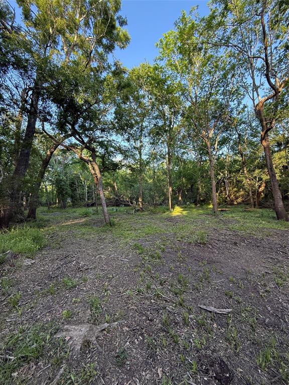7442 Cobbs Oak Lane, Rosharon, Texas image 17