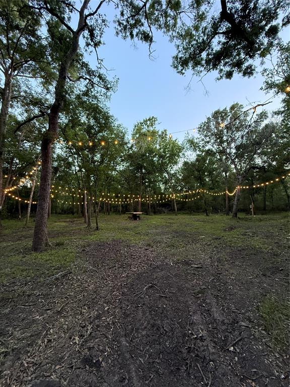 7442 Cobbs Oak Lane, Rosharon, Texas image 2