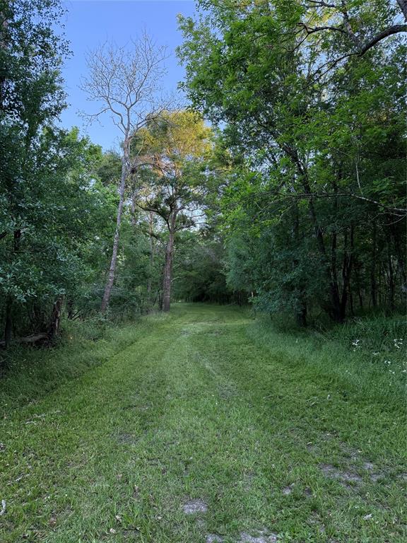 7442 Cobbs Oak Lane, Rosharon, Texas image 20